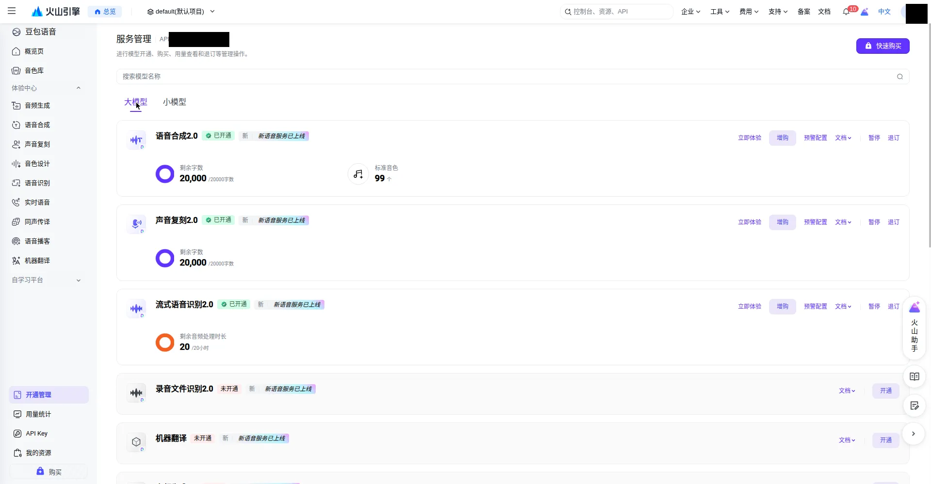 Service activation page showing streaming speech recognition 2.0 already enabled