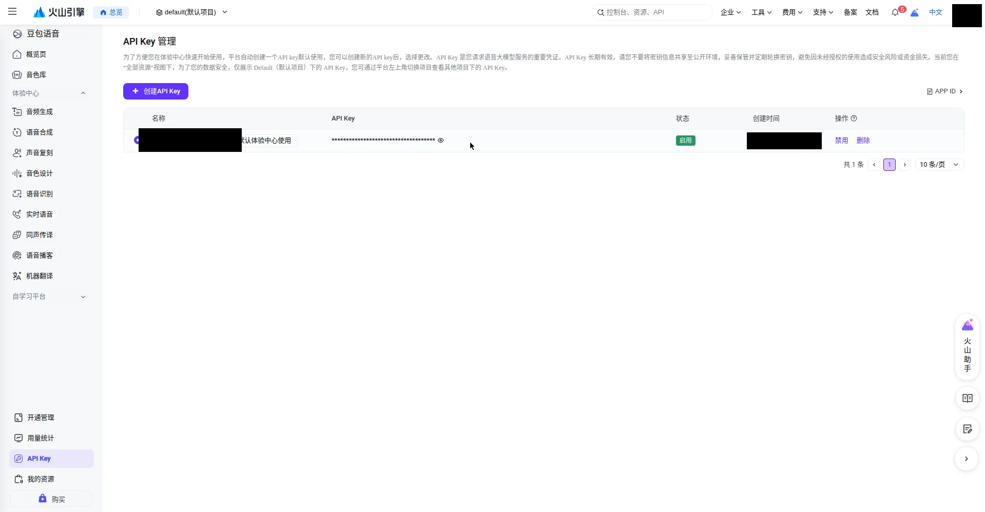 API Key page with the create button and reveal control